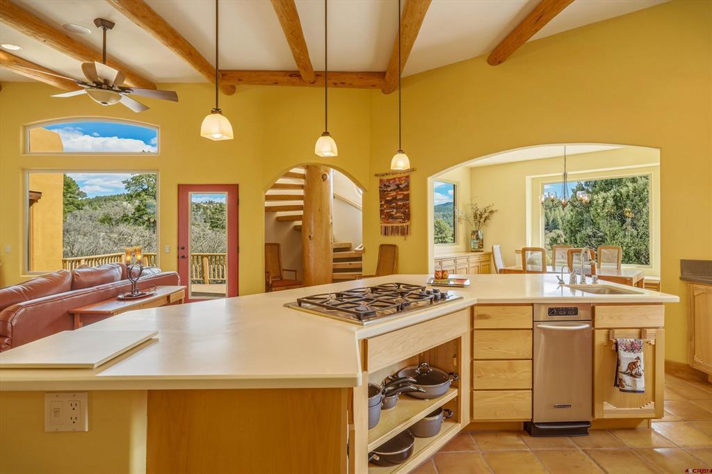 719 Spring Creek Circle Pagosa Springs CO 81147