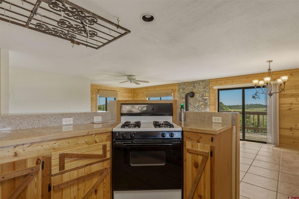1483 Roush Drive Pagosa Springs CO 81147