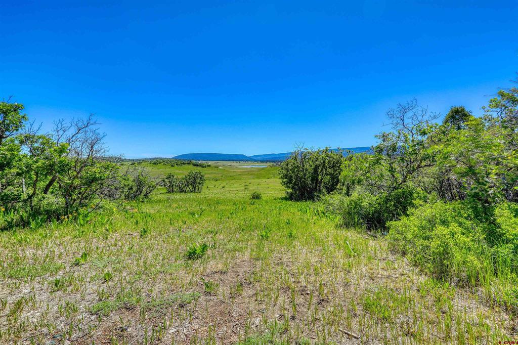 1483 Roush Drive Pagosa Springs CO 81147
