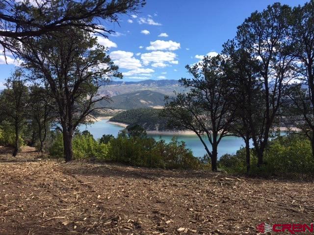 254 Waterview Cove Ridgway CO 81432