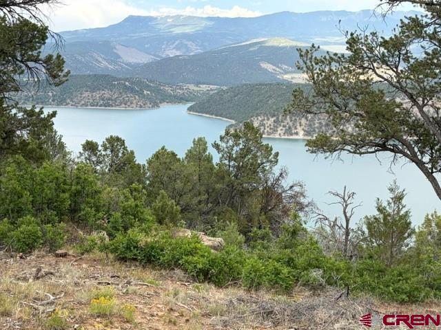 254 Waterview Cove Ridgway CO 81432