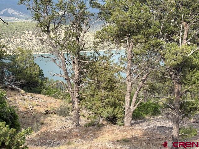 254 Waterview Cove Ridgway CO 81432