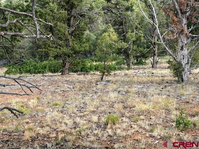 254 Waterview Cove Ridgway CO 81432