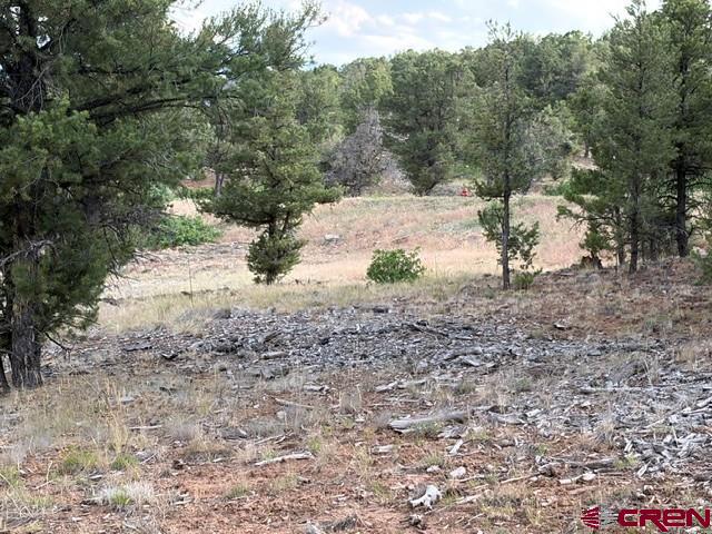 254 Waterview Cove Ridgway CO 81432