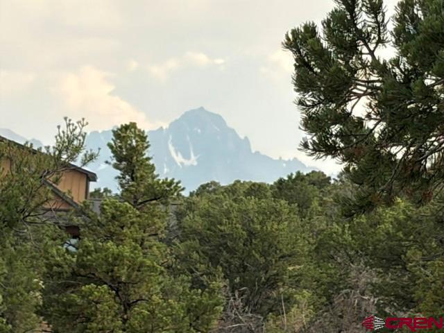 254 Waterview Cove Ridgway CO 81432