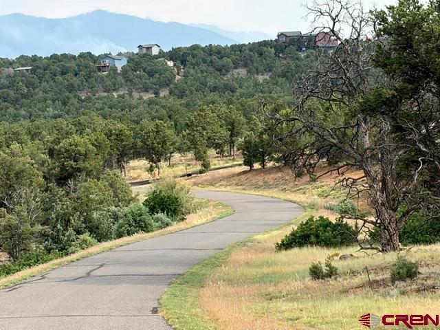 254 Waterview Cove Ridgway CO 81432