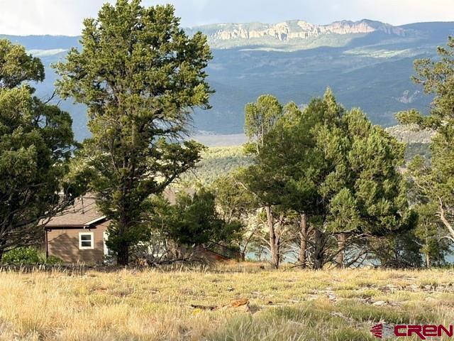 254 Waterview Cove Ridgway CO 81432