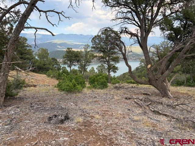 254 Waterview Cove Ridgway CO 81432