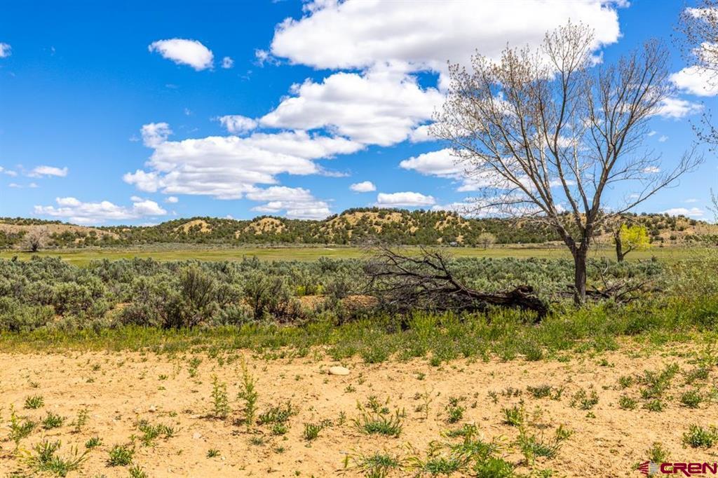 2085 St Highway 140 Hesperus CO 81326