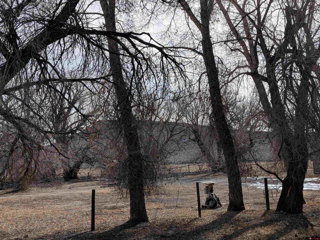 305 1st Street Saguache CO 81149