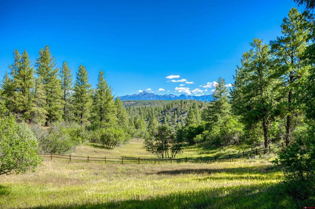 437 Haley Place Pagosa Springs CO 81147
