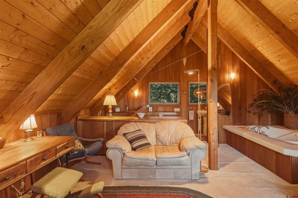 437 Haley Place Pagosa Springs CO 81147