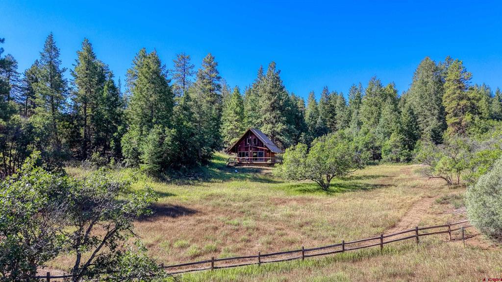 437 Haley Place Pagosa Springs CO 81147