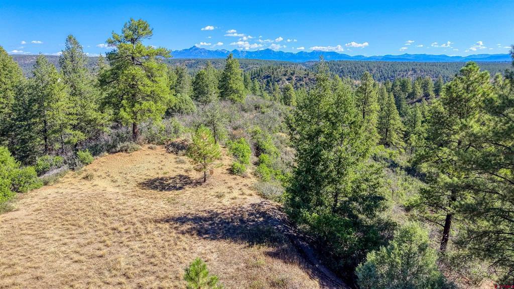 437 Haley Place Pagosa Springs CO 81147