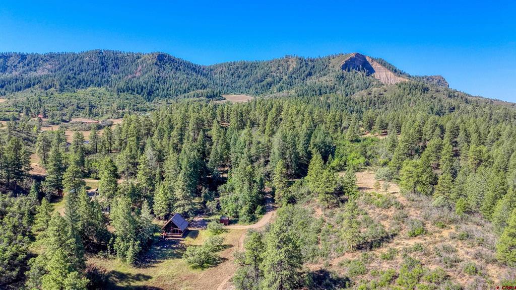 437 Haley Place Pagosa Springs CO 81147