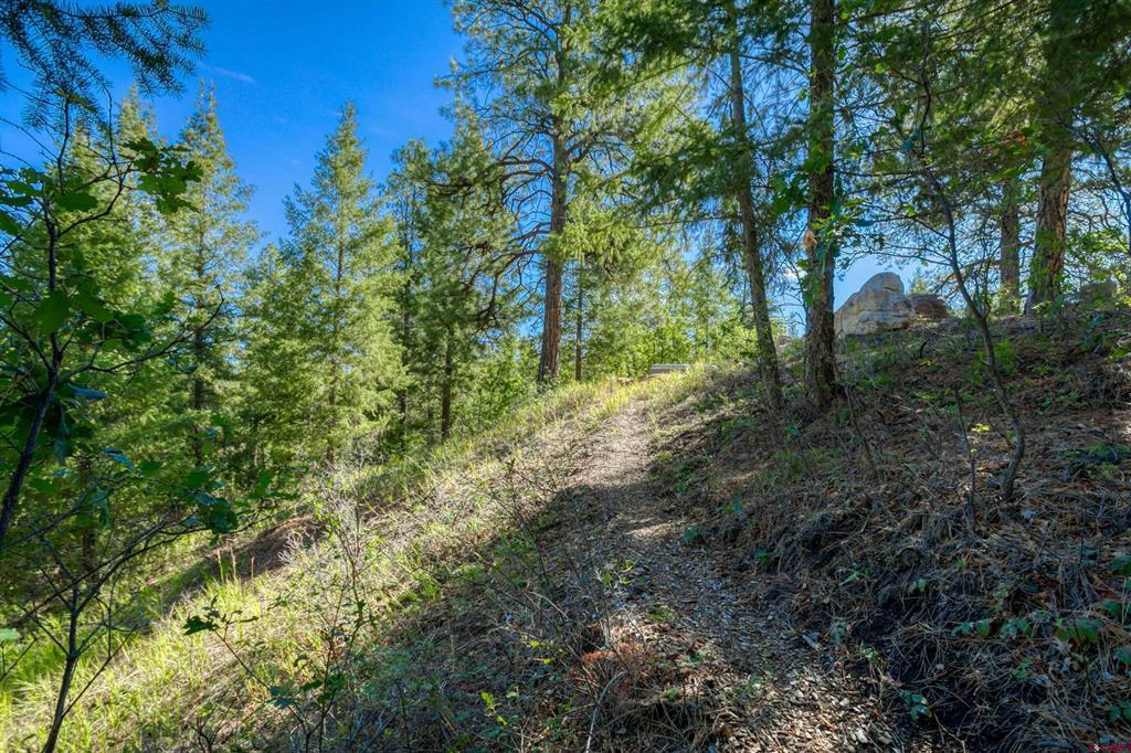 437 Haley Place Pagosa Springs CO 81147