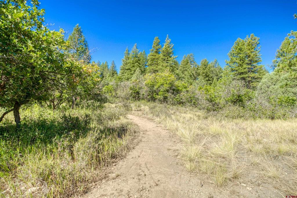 437 Haley Place Pagosa Springs CO 81147