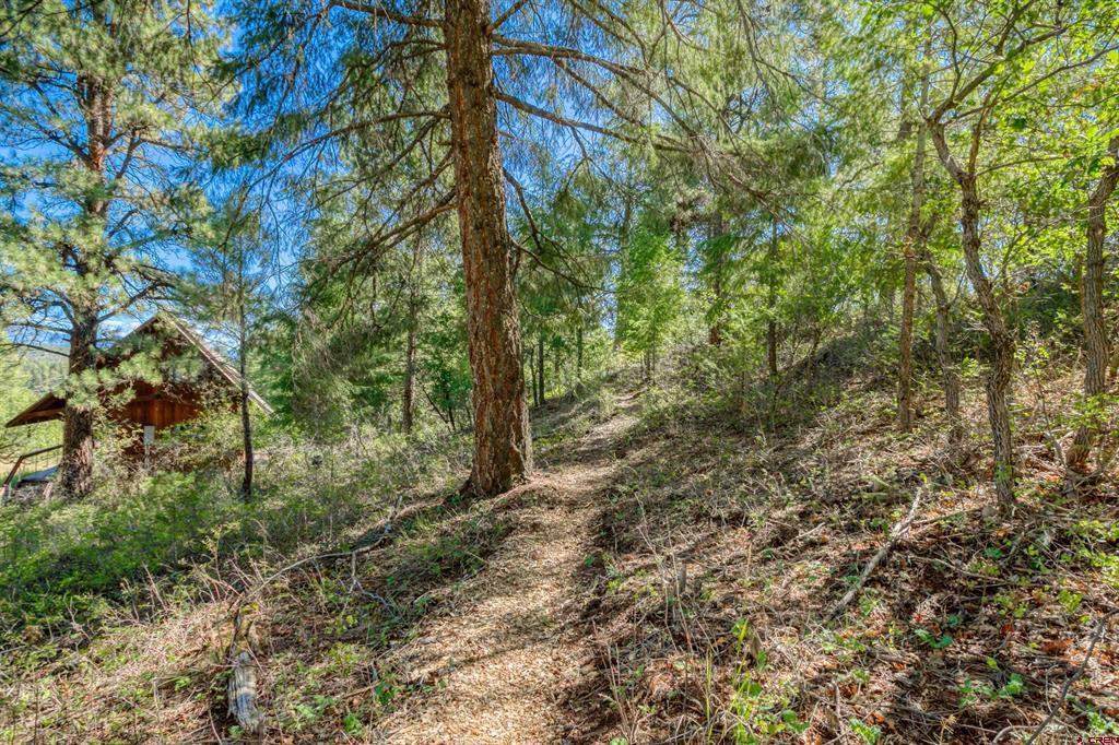 437 Haley Place Pagosa Springs CO 81147