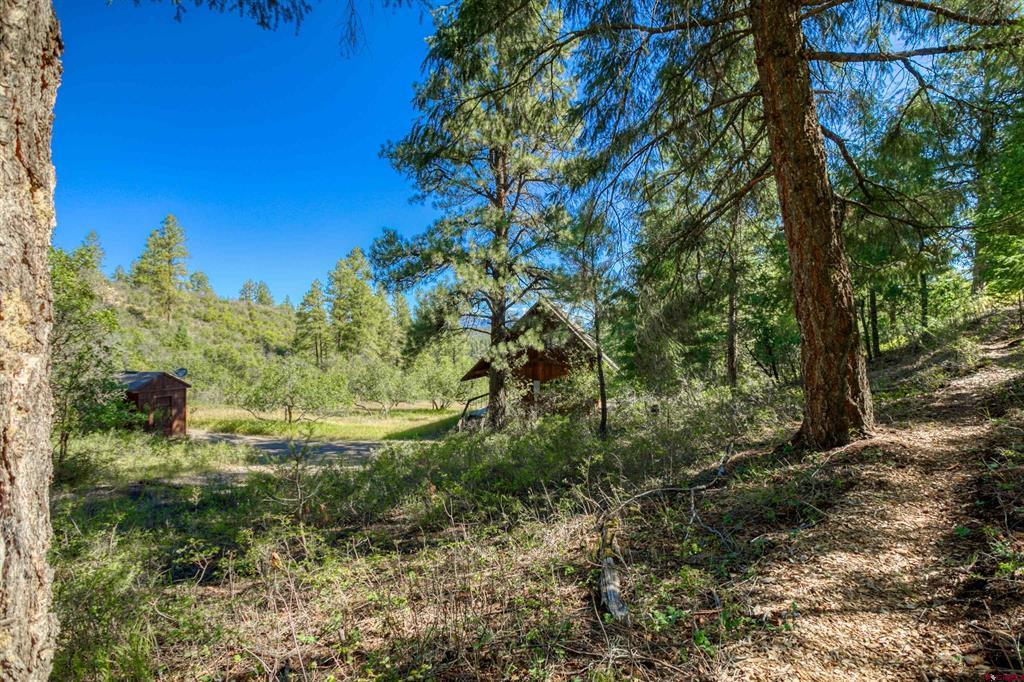 437 Haley Place Pagosa Springs CO 81147