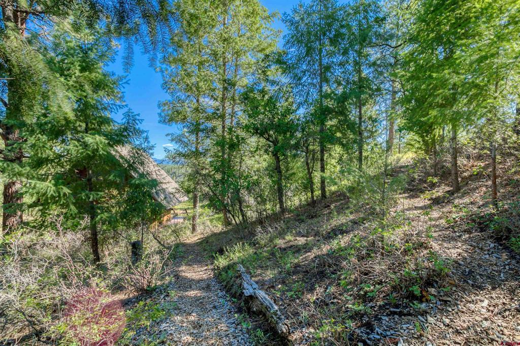 437 Haley Place Pagosa Springs CO 81147
