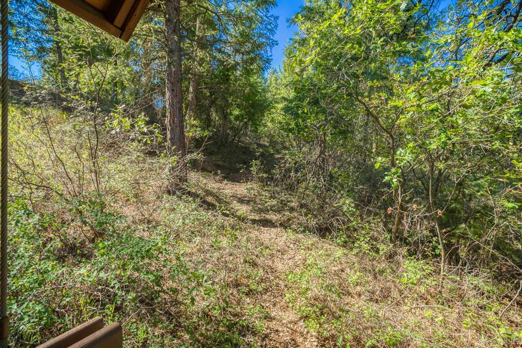 437 Haley Place Pagosa Springs CO 81147