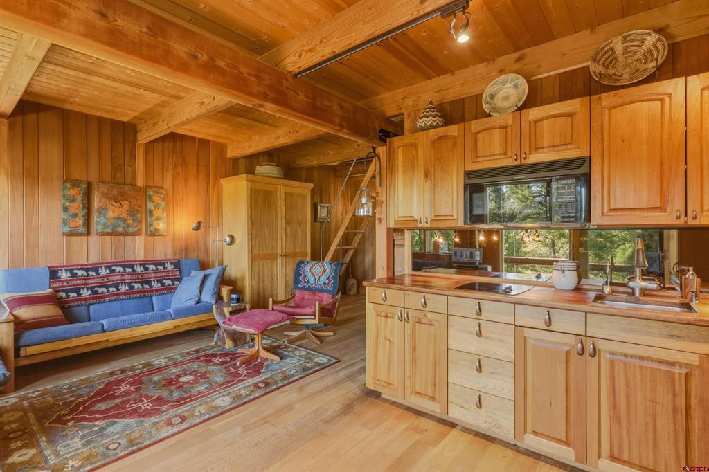 437 Haley Place Pagosa Springs CO 81147