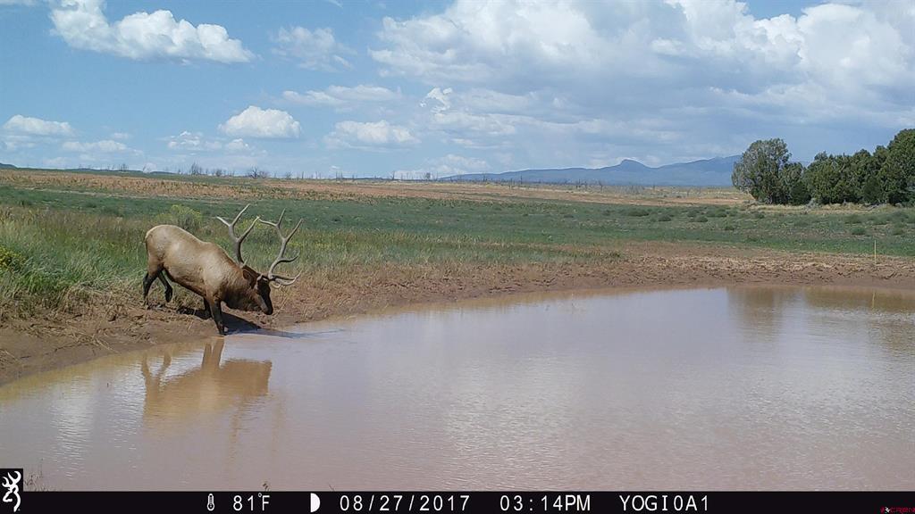 000 Akati Gulch Road Hesperus CO 81326
