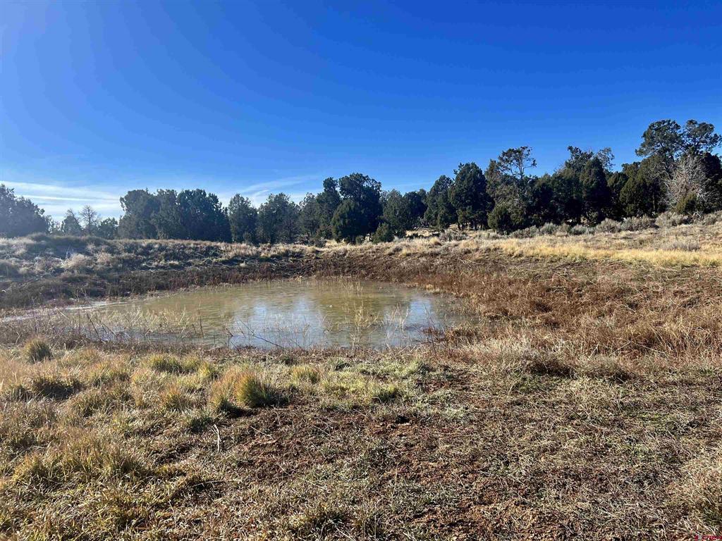 000 Akati Gulch Road Hesperus CO 81326