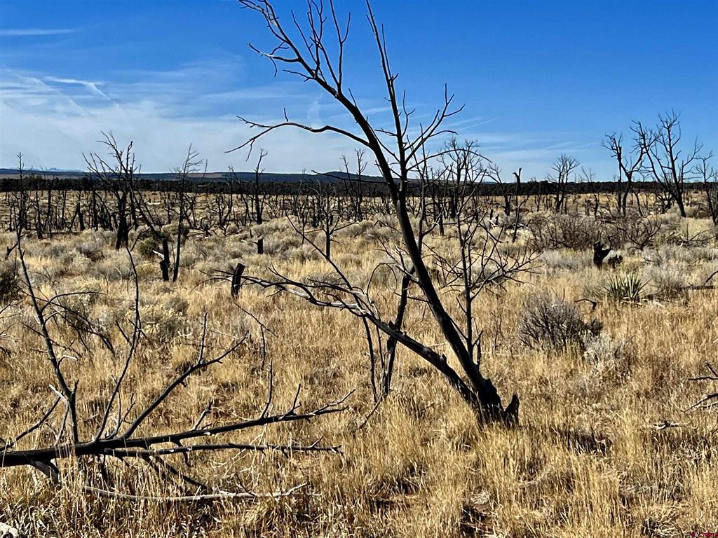 000 Akati Gulch Road Hesperus CO 81326