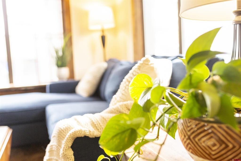 102 E 4th Street Creede CO 81130