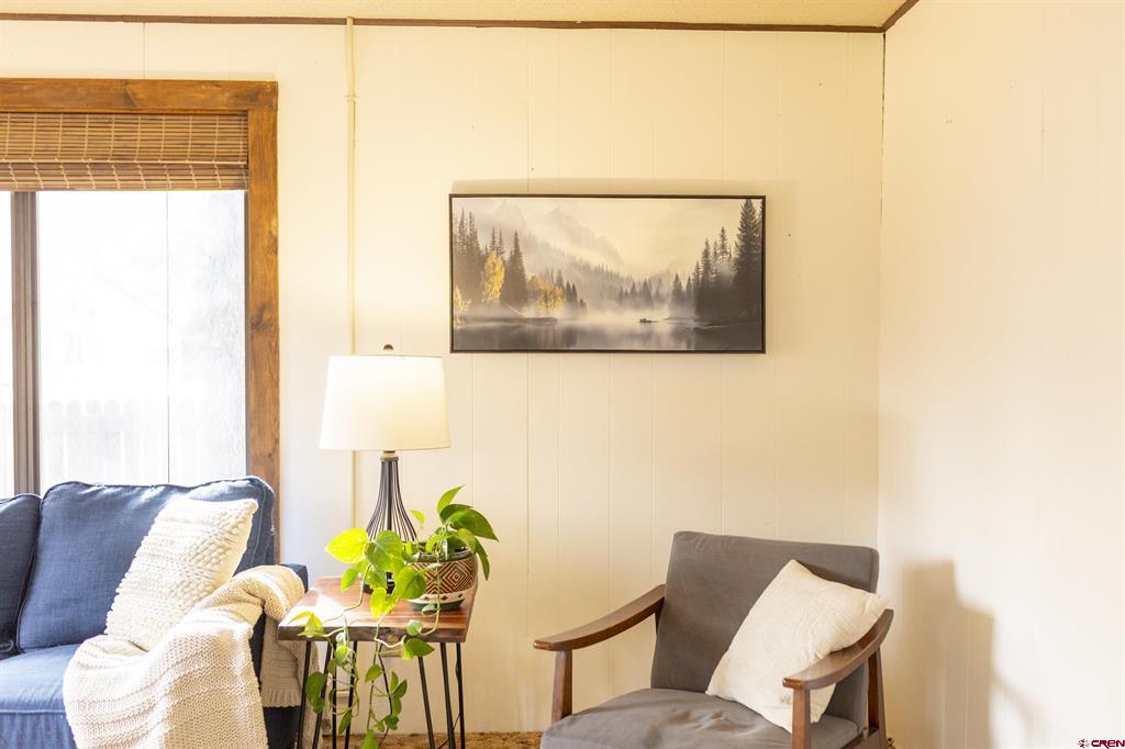 102 E 4th Street Creede CO 81130