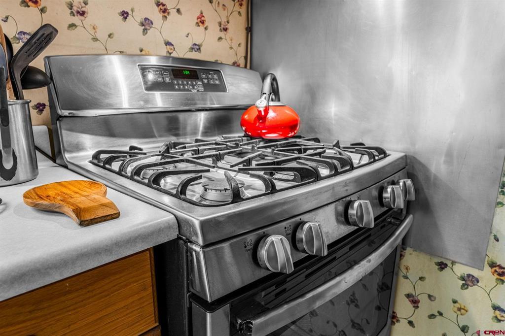 1257 Snowden Street Silverton CO 81433