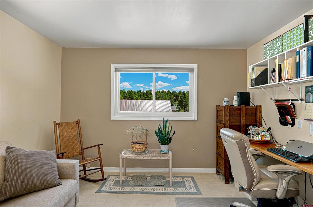27 N Driver Court Pagosa Springs CO 81147