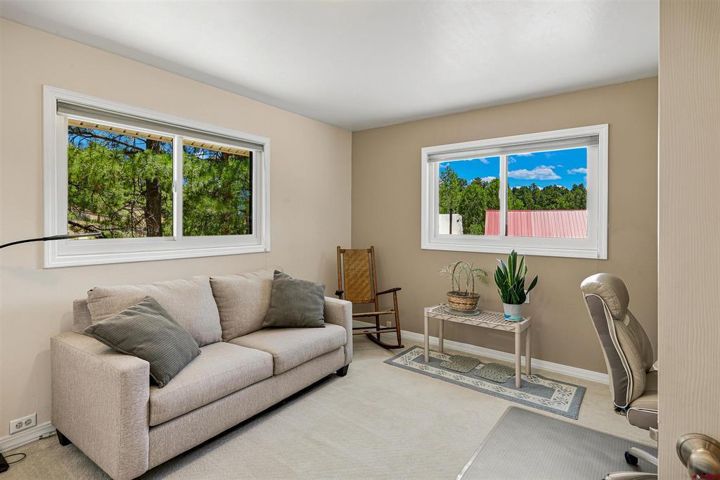 27 N Driver Court Pagosa Springs CO 81147