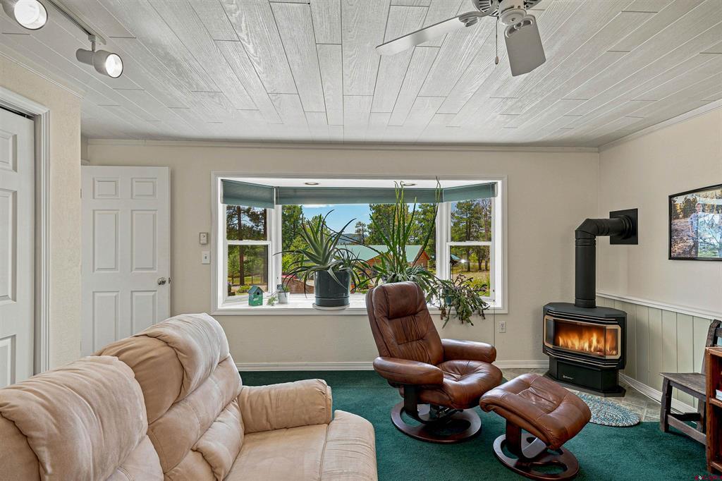27 N Driver Court Pagosa Springs CO 81147