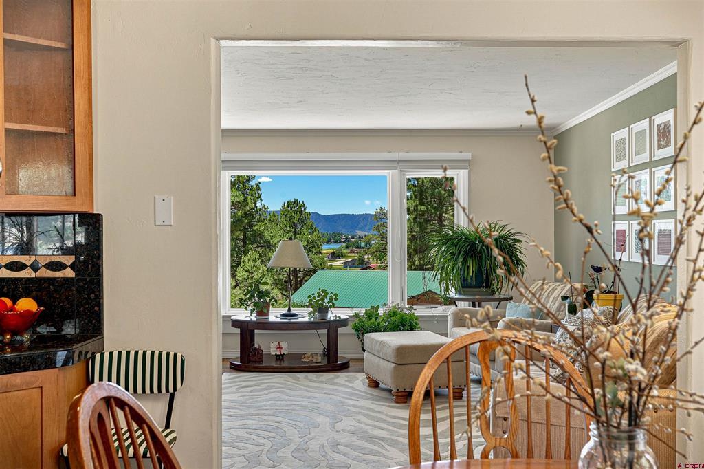 27 N Driver Court Pagosa Springs CO 81147