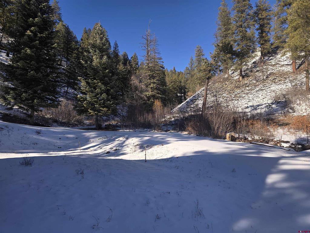 62 Jackson Court Pagosa Springs CO 81147