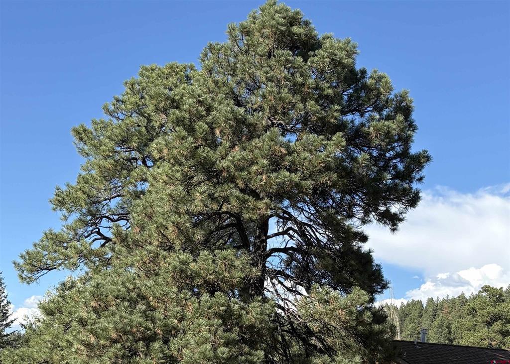 145 Sundown Circle Pagosa Springs CO 81147
