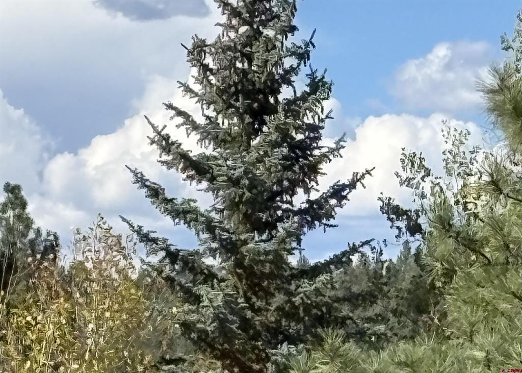 145 Sundown Circle Pagosa Springs CO 81147