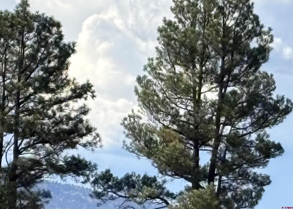 145 Sundown Circle Pagosa Springs CO 81147