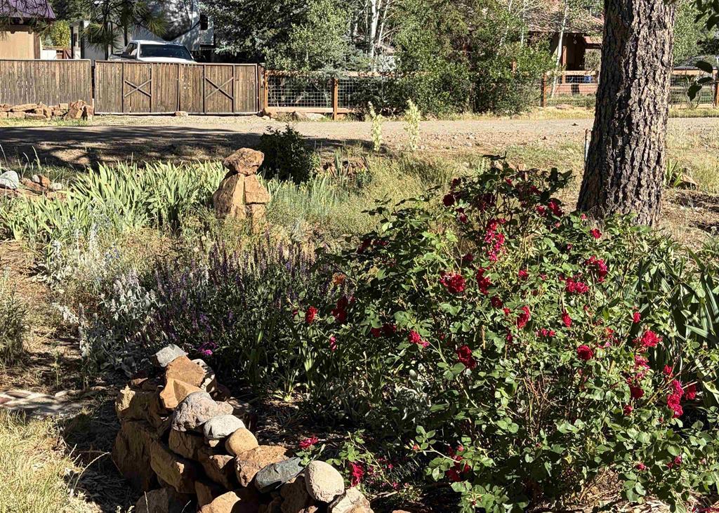 145 Sundown Circle Pagosa Springs CO 81147