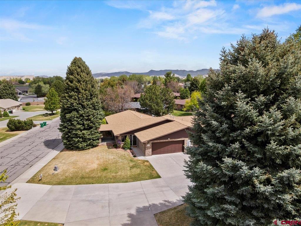 1217 Peppertree Drive Montrose CO 81401