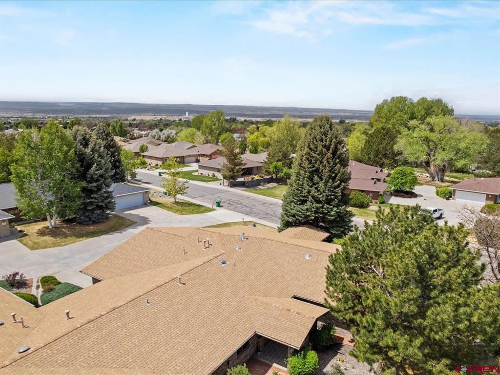 1217 Peppertree Drive Montrose CO 81401