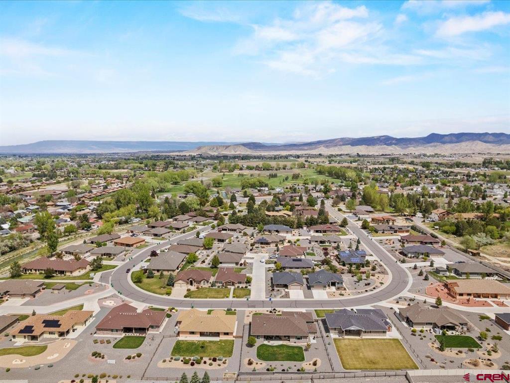 1217 Peppertree Drive Montrose CO 81401