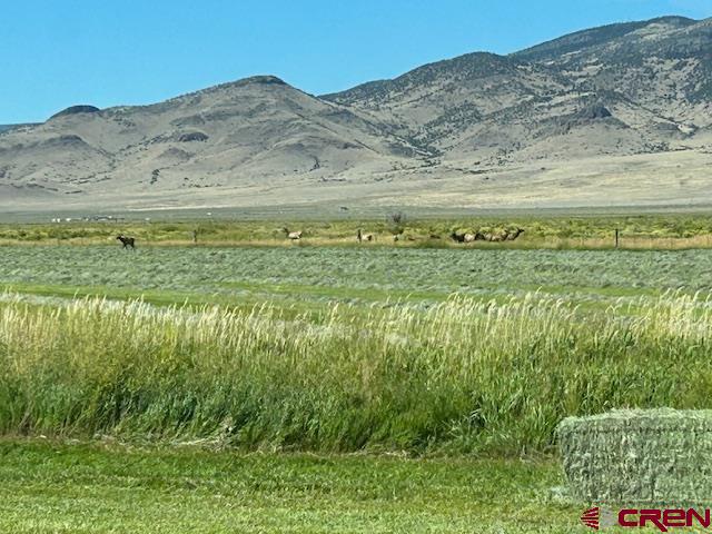 50550 & 51273 County Road X Saguache CO 81149