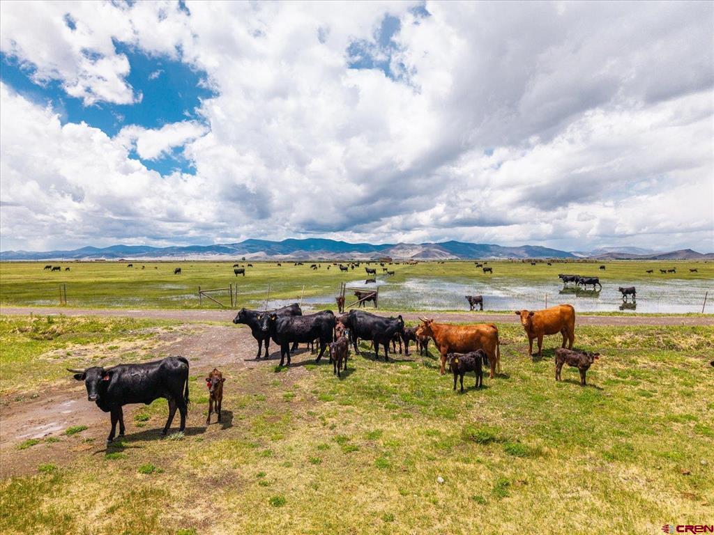 50550 & 51273 County Road X Saguache CO 81149