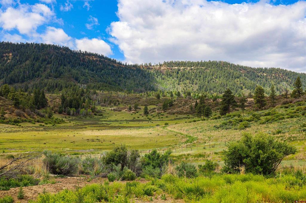 25081 & X Us Highway 84 Chromo CO 81128