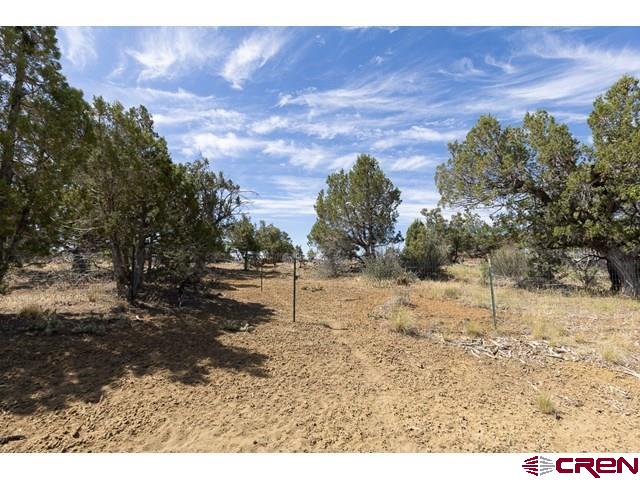 1848 D Bar K Durango CO 81301