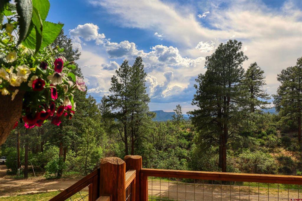 1083 Deer Trail Pagosa Springs CO 81147