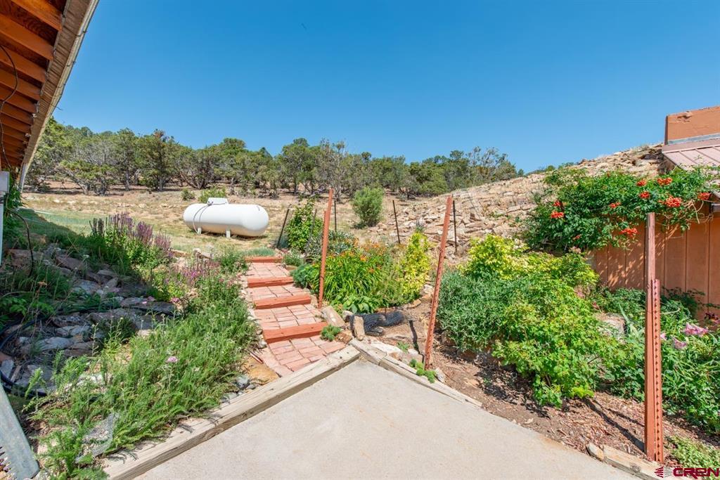 235 Cactus Place Montrose CO 81403